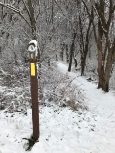 A snowy day on the Ice Age Trail