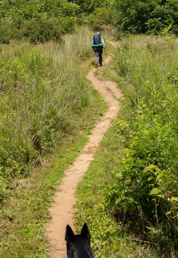 Mowed Trail